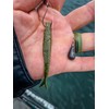 Harmony Fishing - Tungsten Teardrop DropShot/PowerShot Weights (3/4oz (4 Pack))