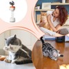 Cat Treat Dispenser Toy,Safe Spring-Loaded Cat Treat Feeder Feather Toy