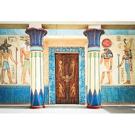 YongFoto 3x2m Vinyl Photography Backdrop Ancient Egypt Scene Murals Pharaoh Temple Hieroglyphic Egyptian Papyrus Backdrops for Photo Shoots Party Adult Kids Baby Portrait Photo Background Studio Props