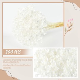 300 PCS Dried Flowers Brazilian White Small Starflower Flowers Mini Dried Flower Bouquet Daisies Mini Chamomile Flower Bouquet for Flower Arrangement Wedding (Snow-White)
