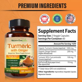 Turmeric with Ginger Root Joint Support Supplement | Turmeric Curcumin Supplement 95% Curcuminoids | Contains Organic Turmeric & Ginger with Black Pepper Extract for Max Absorption