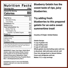 Instant Gelatin - 2 Lb Tub (Blueberry)