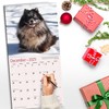 RED EMBER Pomeranians 2025 Wall Calendar 12 Month | 12"