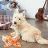 Dog Foraging Mat - Peel and Orange Snuffle Toy |