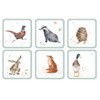 Wrendale Designs Coasters Set of 6