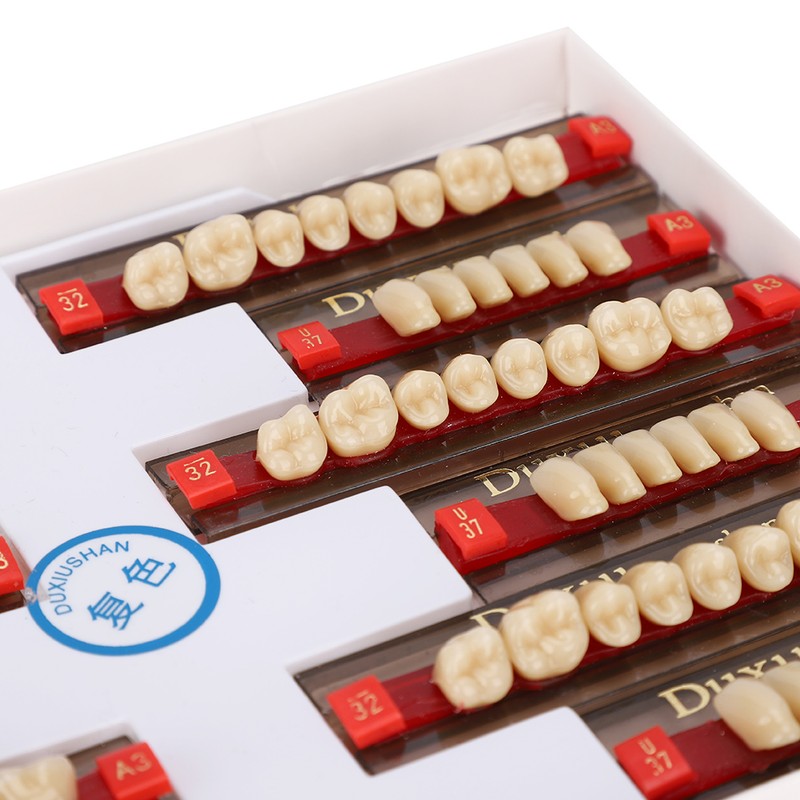 Dental Synthetic Resin False Teeth Dental Material Teeth Denture Dentist