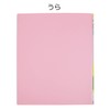 King Jim Clear File Print Storage Skitman Letter File Pink