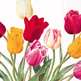 Boston International IHR Cocktail Napkins 3 Ply 5" x 5" Tulip White