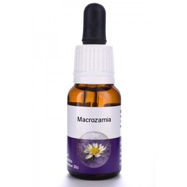 Living Essences Macrozamia 50ml