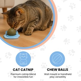 GadgetPawsUSA - Catnip Balls for Cats Wall - 3 Pack Edible Kitty Toys for Cats Lick - Safe Healthy Kitten Chew Toys - Teeth Cleaning Dental Cat Toys - Silvervine 2 Inch Pink Blue Orange