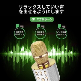 Sky Stone Bluetooth Karaoke Microphone, Wireless Microphone, Portable Speaker, Duet Recording, 3200 mAh, For Home Use, Karaoke/Home/Party, Japanese Instruction Manual (Gold)
