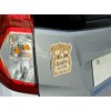 Mukojima MR-01 Safety Sign, Magnet, BABY in Car, Bear, Made