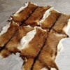 Red Deer Hide Rug Deer Skin Rug Deer Taxidermy Fireplace