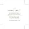 The Candle Pour Citrus Grove Scent Hand Poured Luxury/Premium Candle,