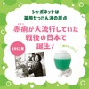 Tokyo Saraya Shabonet Quick Rinse Foaming Hand Wash Soap Refill