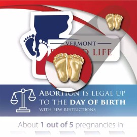 Heritage House '76 Precious Feet, Gold-Colored, Vermont Stats Card Jewelry, Lapel Pin