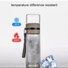 Teruels Premium Double-Wall Glass Tea & Fruit Infuser Bottle -