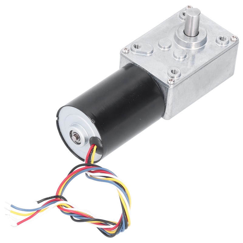 DC Brushless Worm Gear Motor High Torsion Low Noise Turbine