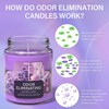 Lavender & Lilac Blossom Odor Eliminating Candles for Home Scented,