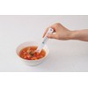 Salt Meter (Give It A Try Spoon) 0.6 – 1.2 so302wh (tanita (TANITA))