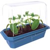 Unique Gardener Slicing Cucumber Plant Seeds Kit, Grow Healthy Tasty