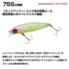 Daiwa Shoreline Shiner Z Set Upper 75S Chartback BB Lure