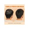 Shampoo Sin Sal Shampoo Hombre Control De Grasa Profesional