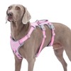 Huntboo Escape Proof Dog Harness, No Pull Reflective Harness with