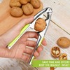 QckZee Nutcracker, High-Quality Nutcracker for Walnuts and Hazelnuts, Ergonomic Handle