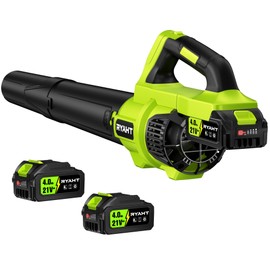 RYAHT Leaf Blower Cordless, 21V Powerful Electric Leaf Blower with 2 X 4.0Ah Batteries and Charger, 2 Speed Modes, Handheld Lightweight Leaf Blowers for Lawn Care, Patio, Dust, Blowing Leaves, Green