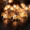 Lindas luces decorativas de hadas, regalos de caballo para mujeres,