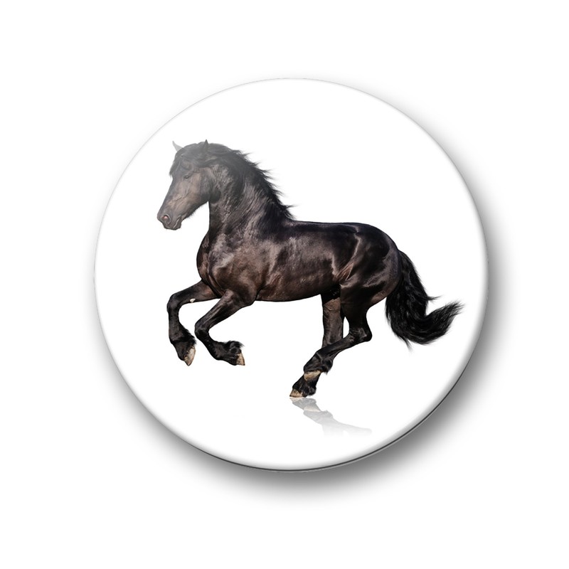 Merchandise for Fans Fridge Magnets for Horses Design Black Foal