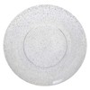60 Pcs Glitter infused disposable SIlver Plastic Plates set featuring