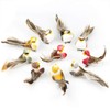 CreepyParty Artificial Birds on Clips Feather Foam Decorative Little Birds