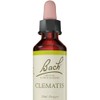 Bach Original Flower Remedies (Clematis) Live The Day, Be Focused,