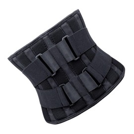 PACKOVE Weightlifting Back Support Belt XL Dual Elastic Steel Plate Design for Men and Women Breathable Fitness Waist Trainer for Powerlifting