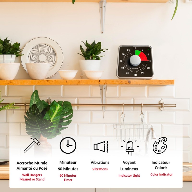 FISHTEC - Electronic Giant Square Timer - Timer 60 Minutes