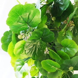 Houssity Artificial Hanging Plants Fake Ivy Vine Leaves for Wall Door Room Kitchen Patio Outdoor Indoor Decor (Plastic Grape Leaf, 4)