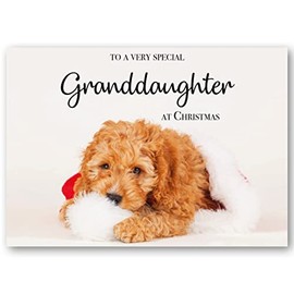 Absolutely Yours Granddaughter Christmas Card. Dog in Santa Hat Design. Ecofriendly and UK made. Verse Inside. 175 x 124mm card size