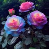 200 Pcs Ice Rain Blue Strong Aroma Rose Seeds Potted