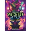 The School for Wicked Witches #2