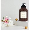 Home and Body Company Botanical + Herbal Hand Soap 22FL/605ml Infused with Essential Oils, Made in a Amber GLASS BOTTLE (Lily Rose)