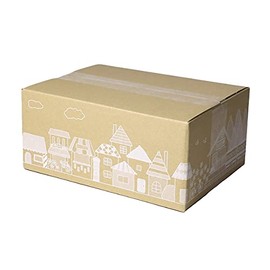 Earth Cardboard ID0361 60 Size, Bottom B5, Gift Box, 30 Pieces