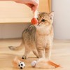 Bouncing Cat Ball with Feather - Rubber Cat Pounce Toy