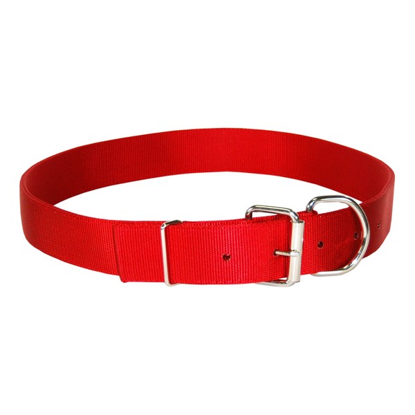 Hamilton Deluxe Double Thick Nylon Dog Collar, 1-3/4 by 22-Inch,