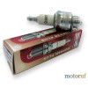 Champion RJ19LM Engine Spark Plug for Lawn Mowers Jet Skis
