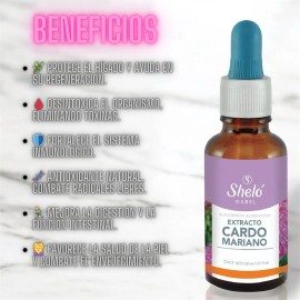 2 Piezas Cardo Mariano Sheló Nabel + Regalo