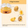 6 Egg Incubator Automatic Egg Turner with Temperature Control Poultry