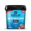 Bodylab24 Bodybuilder EAA Cherry 450g, EAA Powder with 9 Essential