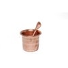 Aditri Creation Punch Patra/Rota and Akmani/Paris (Spoon) Puja Supplies Items